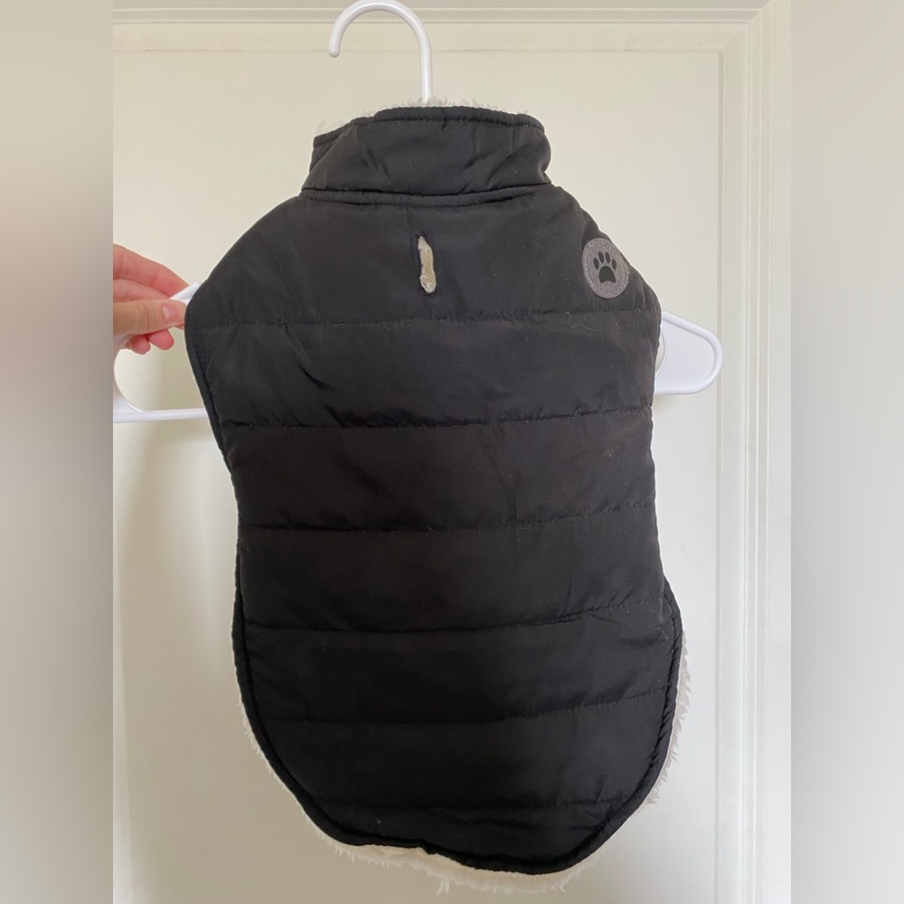 Dog coat